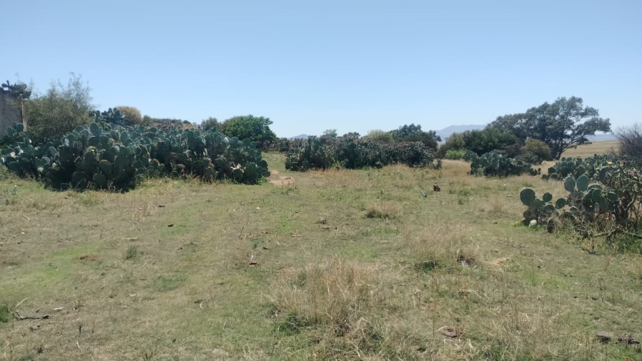  Bedroom Property for Sale in Bloemfontein Rural Free State